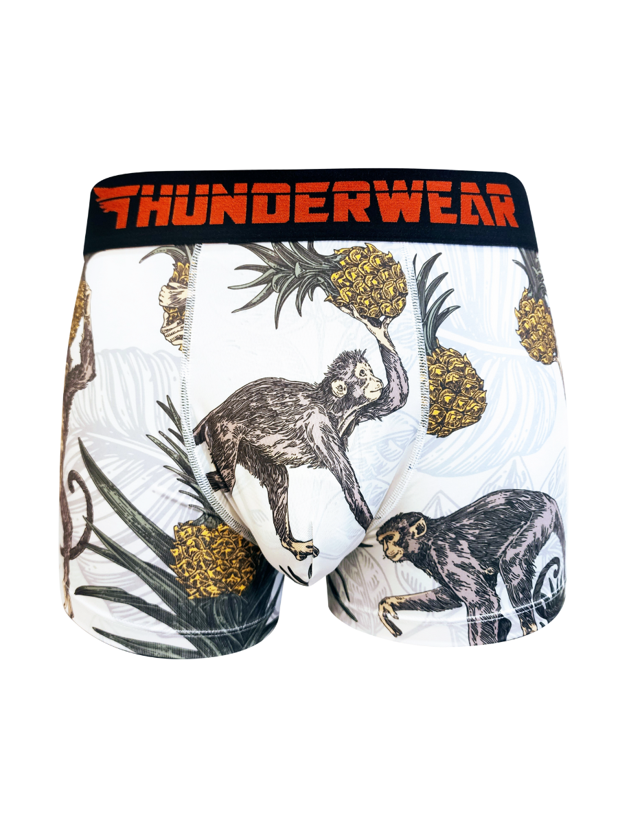 Trendy Boxer Briefs For Men Thunderwears Stylish Collection